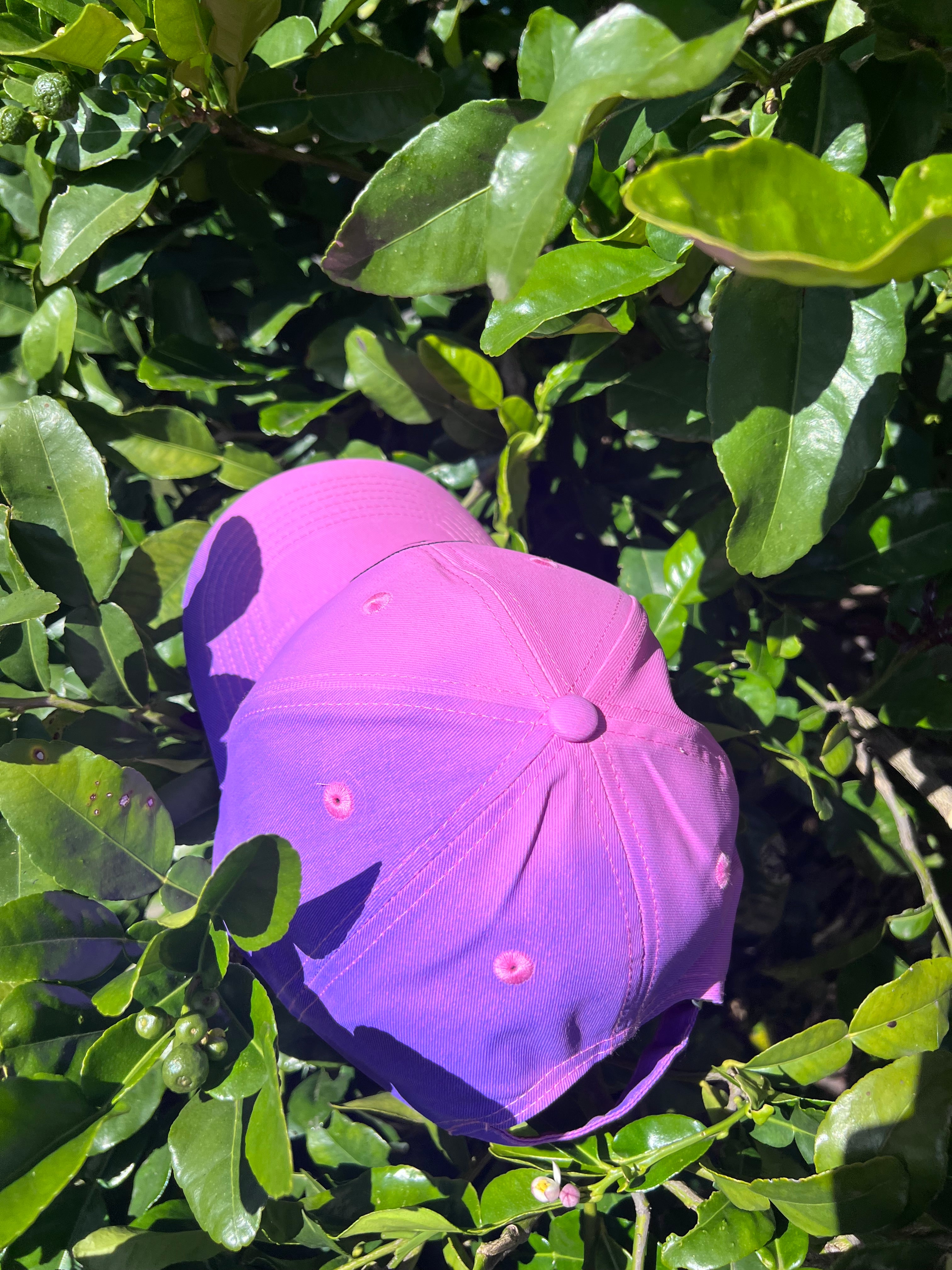 Berry Bliss | Colour Changing