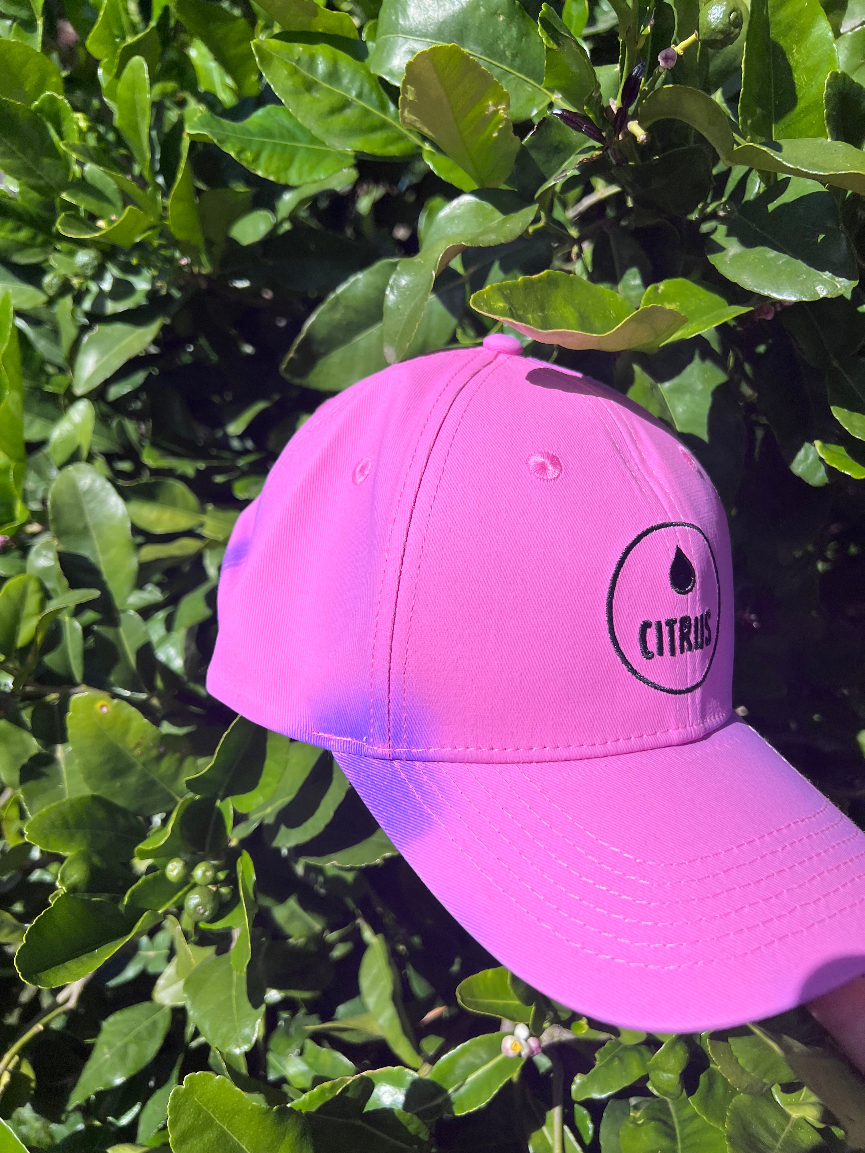 Berry Bliss | Colour Changing