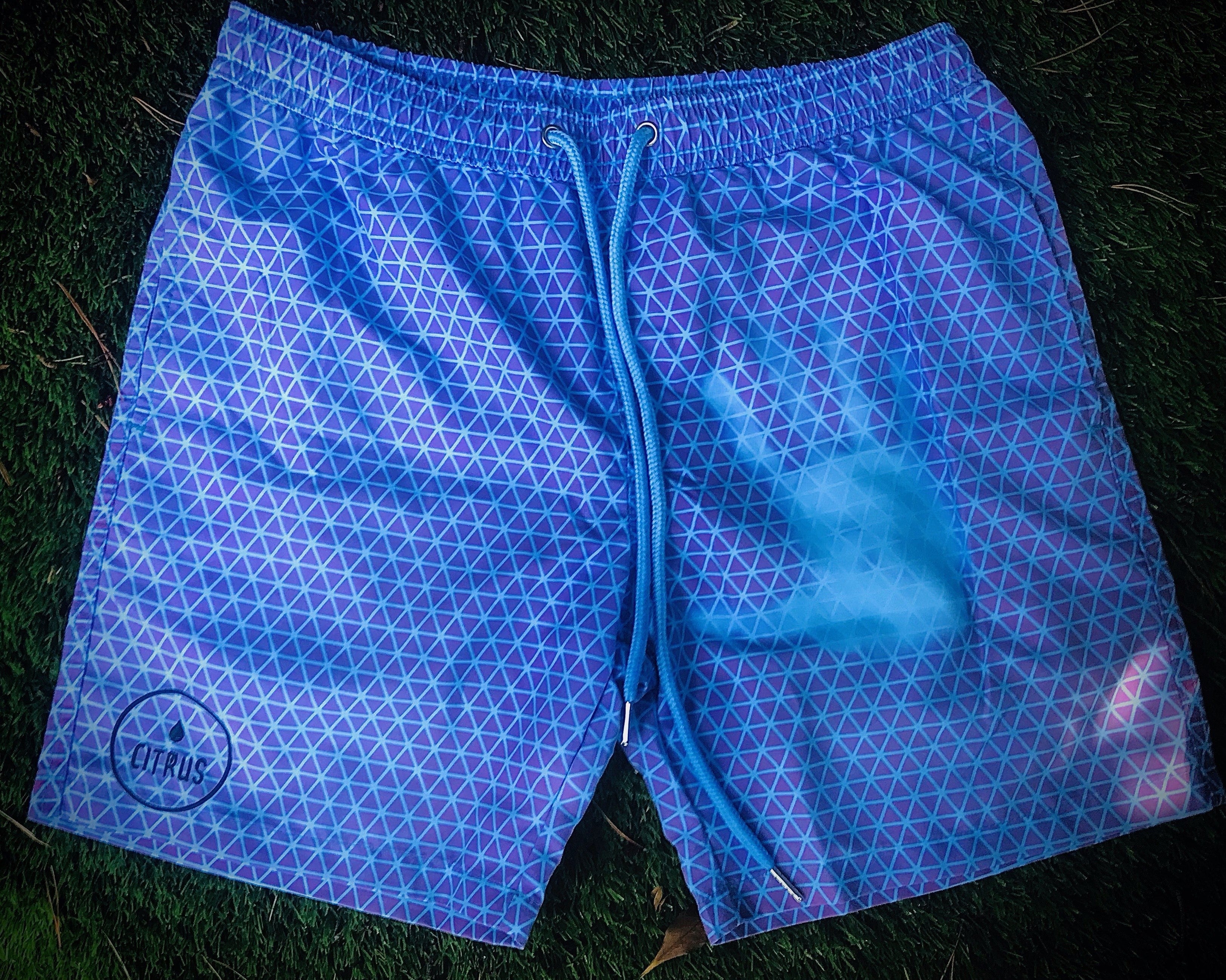 Blue Berry Blast | Colour Changing  image 2